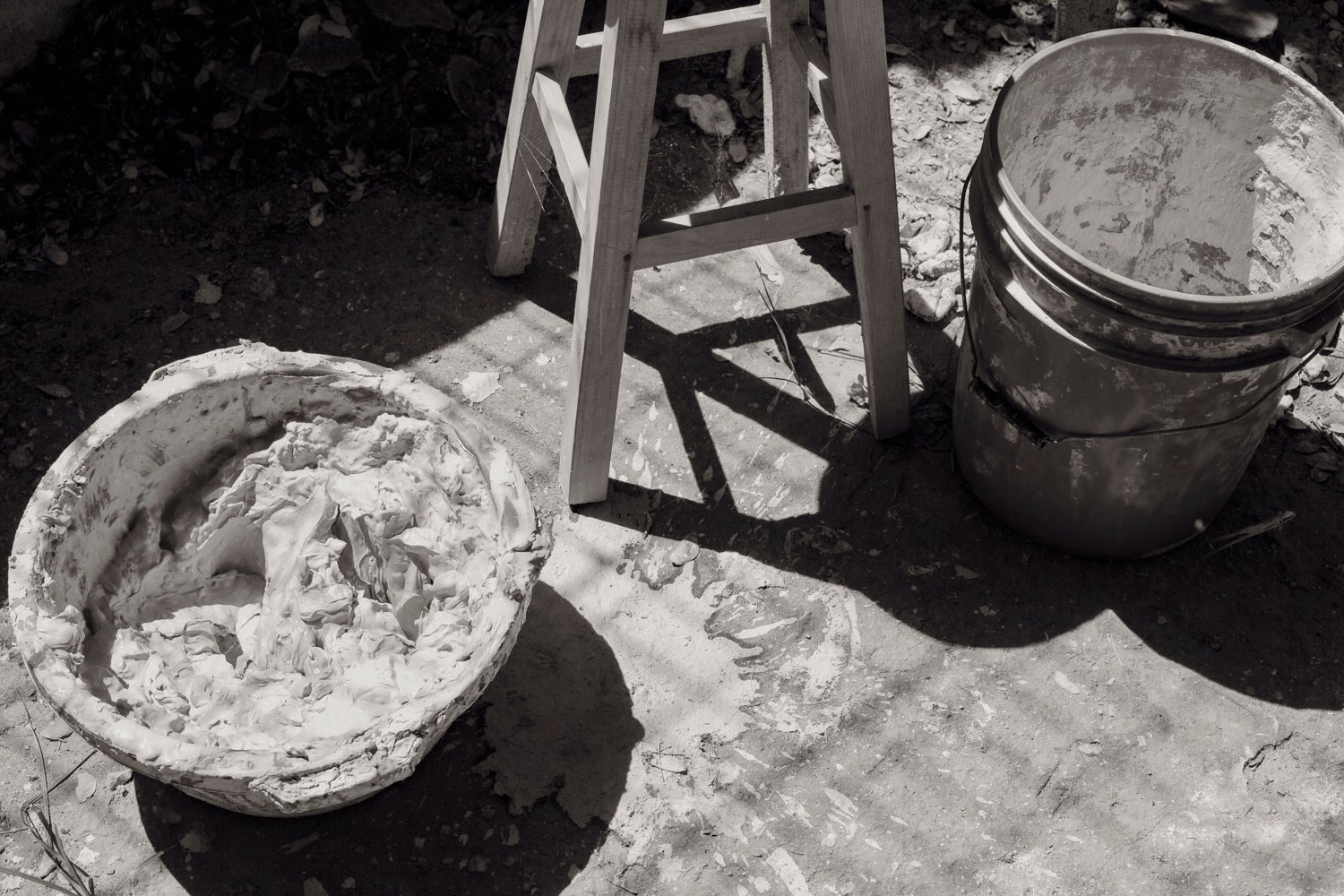 Conejo Blanco — fotografía por Ismael Moyaho