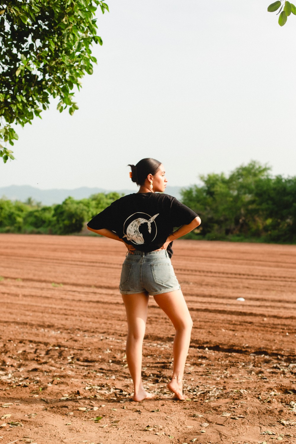 Contenido editorial para una marca en Puerto Escondido