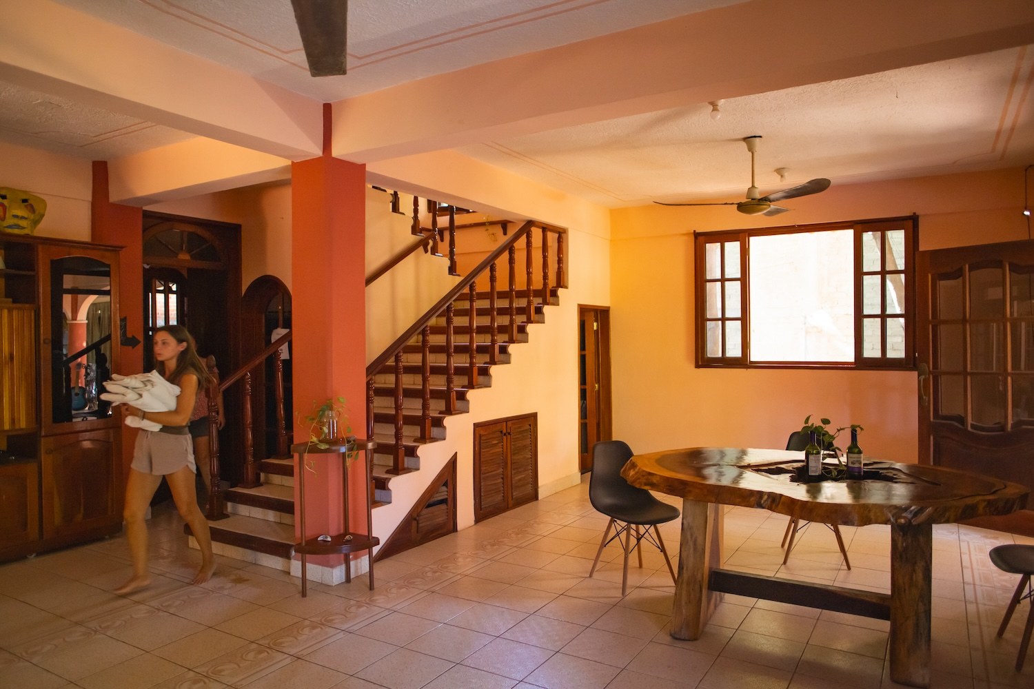 Casona Hostel arboles de mango